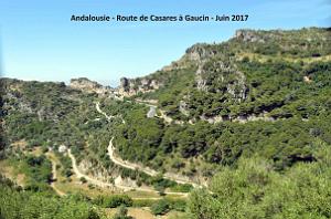 615- Casares